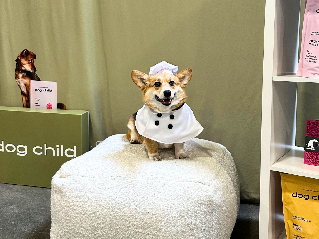 Dog Child Event
